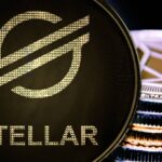 Stellar Organization Declares